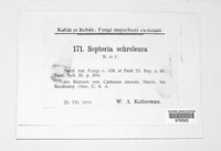 Image Associated With the Occurence